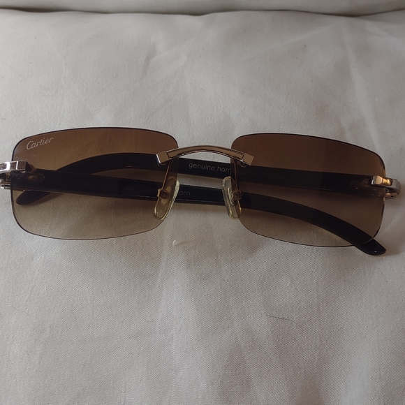 Cartier Other - Cartier Platinum Genuine Horn Sunglasses